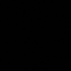 Meet your Posher, Aric